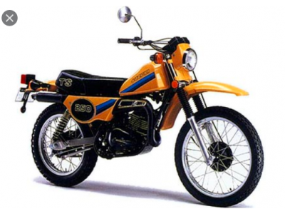 SUZUKI TS 250  (1971-1981)